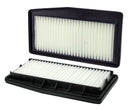 WIX-49264 Air Filter Panel