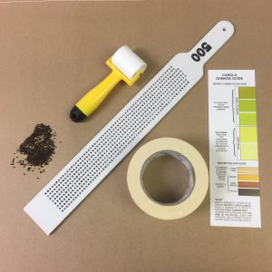 DIMO-5555A, 500 COUNT CANOLA KIT INCLUDES 500 COUNT RULER