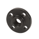 AF100, 1" Female Threaded Ansi Flange