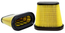 WIX-WA10171 Air Filter