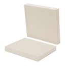 WIX-WP10080 Cabin Air Filter