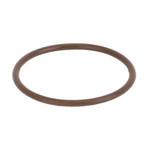 LS100-GV, 1" LINE STRAINER GASKET FKM